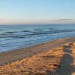 Extensa playa de arena dorada en las Landas, con olas rompiendo suavemente. Un camino bordeado de postes de madera guía hacia la costa, ideal para paseos con perros.