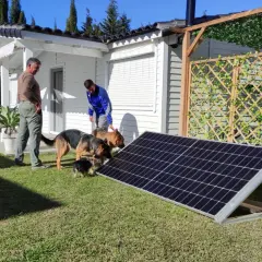 Hombres y perros observan un panel solar plug and play opiniones.