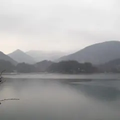 Paisaje brumoso con montañas cubiertas de árboles y el **embalse de Lareo** en primer plano. Ramas desnudas enmarcan la serena vista.