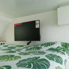 Cama con sábanas de hojas verdes y un televisor de consumo tv 50 pulgadas colgado en la pared.