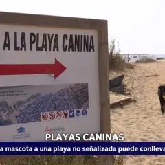 Un perro negro corre feliz por la arena con una pelota amarilla en la boca, cerca de un cartel que indica "Acceso a la Playa Canina". ¡Días perfectos para perros en la playa!