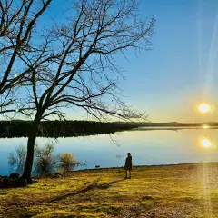 Una persona contempla el atardecer en la playa de Soria, con árboles desnudos y el sol reflejado en el agua serena.