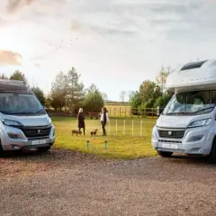 Dos vehículos, un camper y una caravana, estacionados al aire libre. Dos mujeres y sus perros disfrutan de un día soleado.