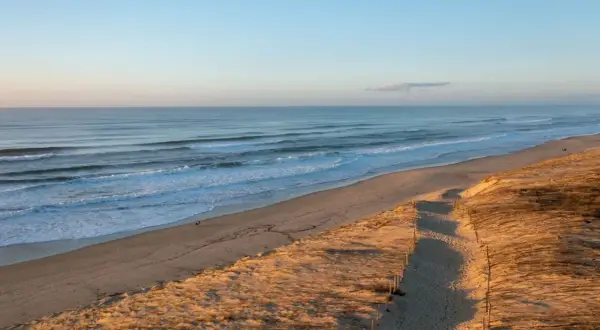 Extensa playa de arena dorada en las Landas, con olas rompiendo suavemente. Un camino bordeado de postes de madera guía hacia la costa, ideal para paseos con perros.