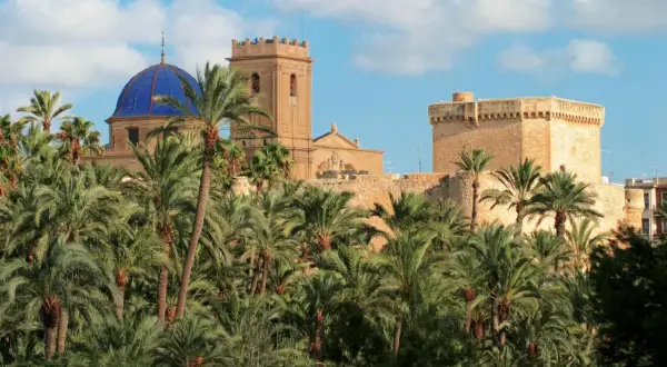 El Palmeral de Elche, con su altstadt y la cúpula azul, se alza entre palmeras bajo un cielo nublado.