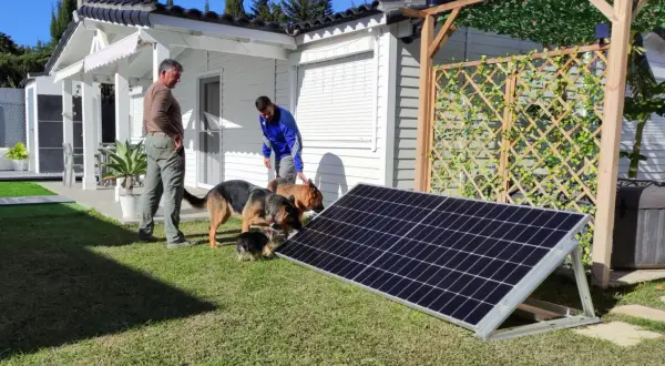 Hombres y perros observan un panel solar plug and play opiniones.