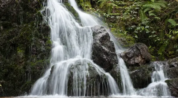 La cascada Txorrotxin desciende entre rocas cubiertas de musgo y vegetación exuberante, creando un paisaje natural sereno.