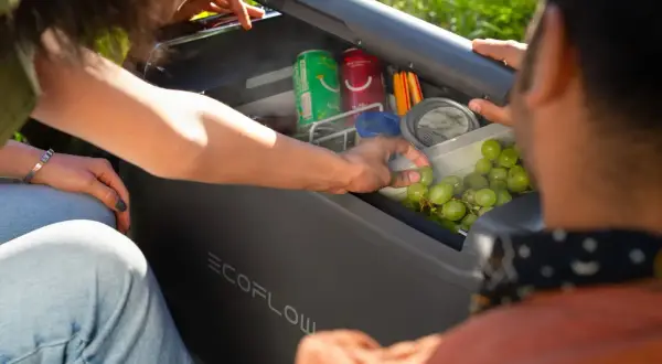 ¿Cuánto aguanta un congelador sin luz? Personas sacan uvas y latas de un refrigerador portátil EcoFlow.