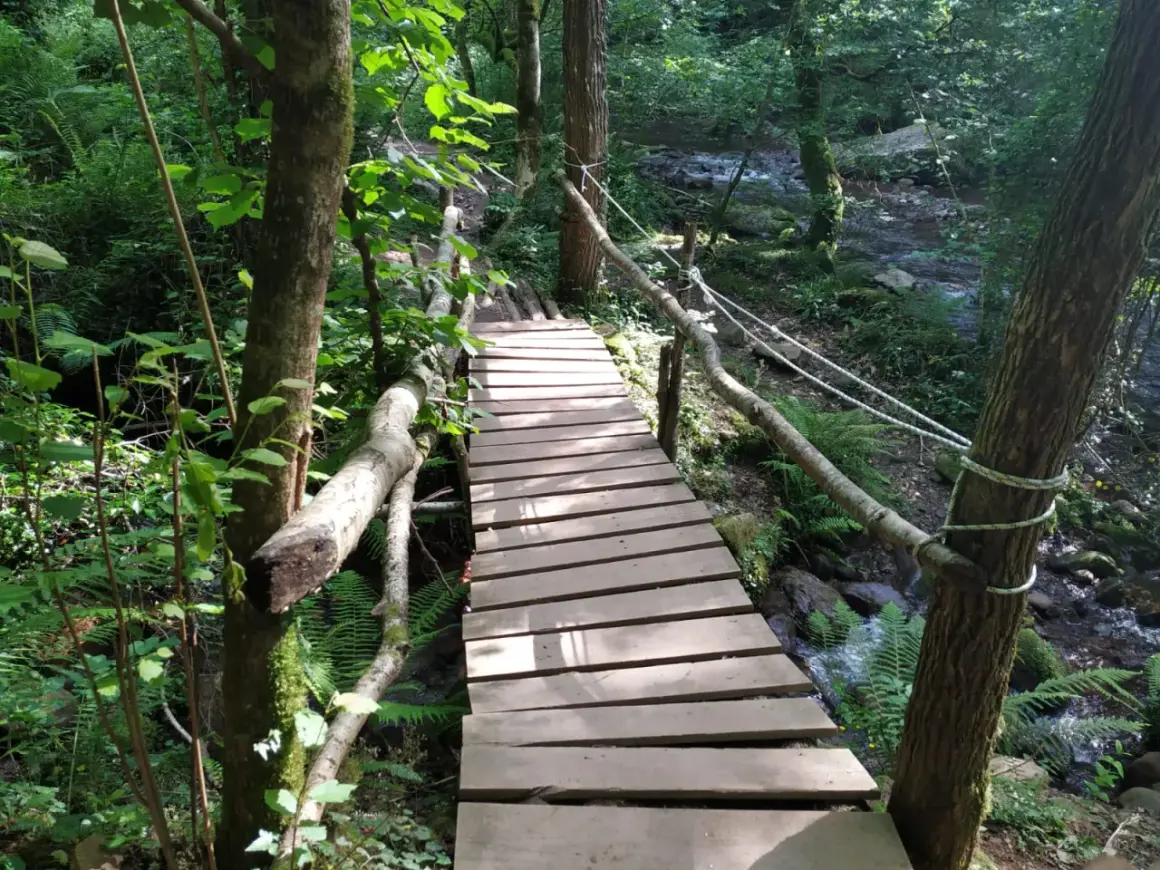 Puente de madera sobre un arroyo en un bosque frondoso, cerca de la cascada Xorroxin. Senderos verdes y agua cristalina.