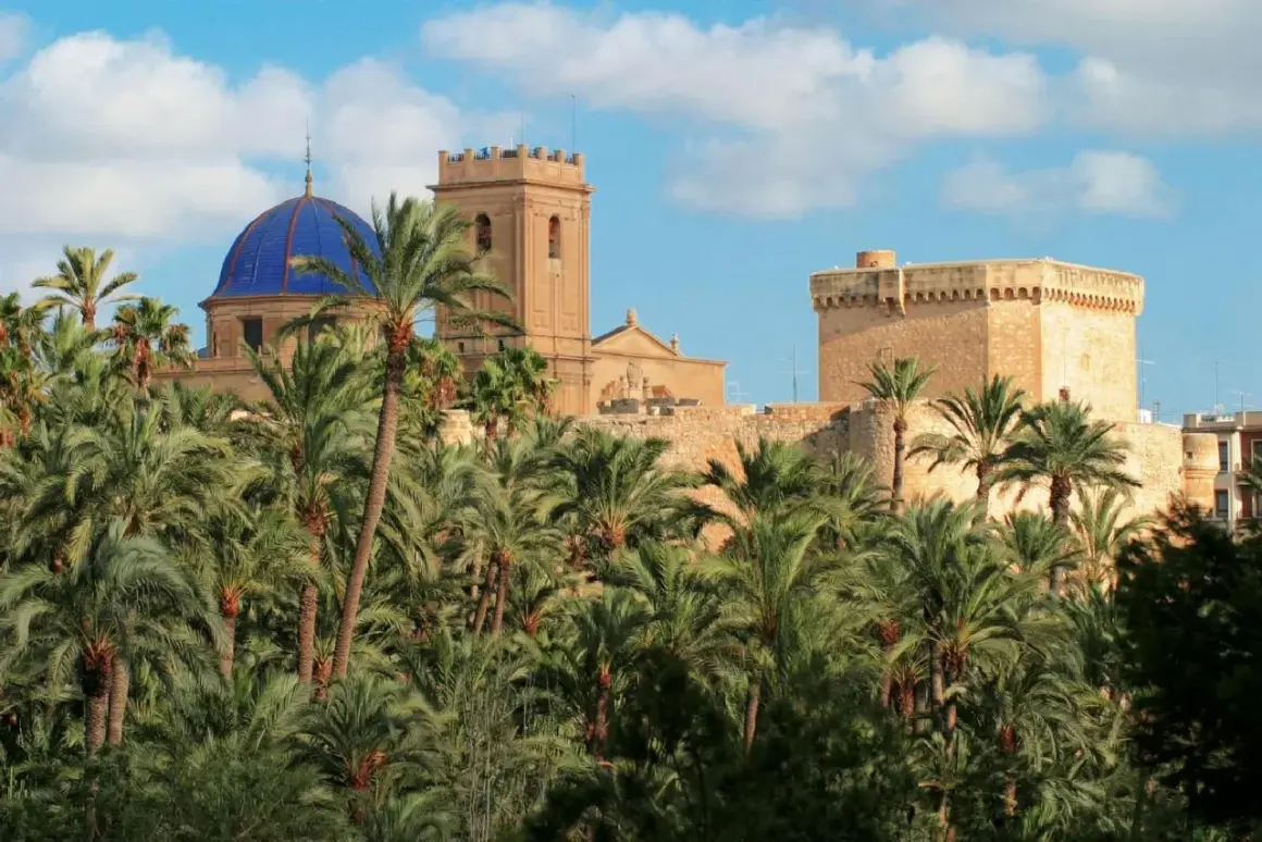 El Palmeral de Elche, con su altstadt y la cúpula azul, se alza entre palmeras bajo un cielo nublado.
