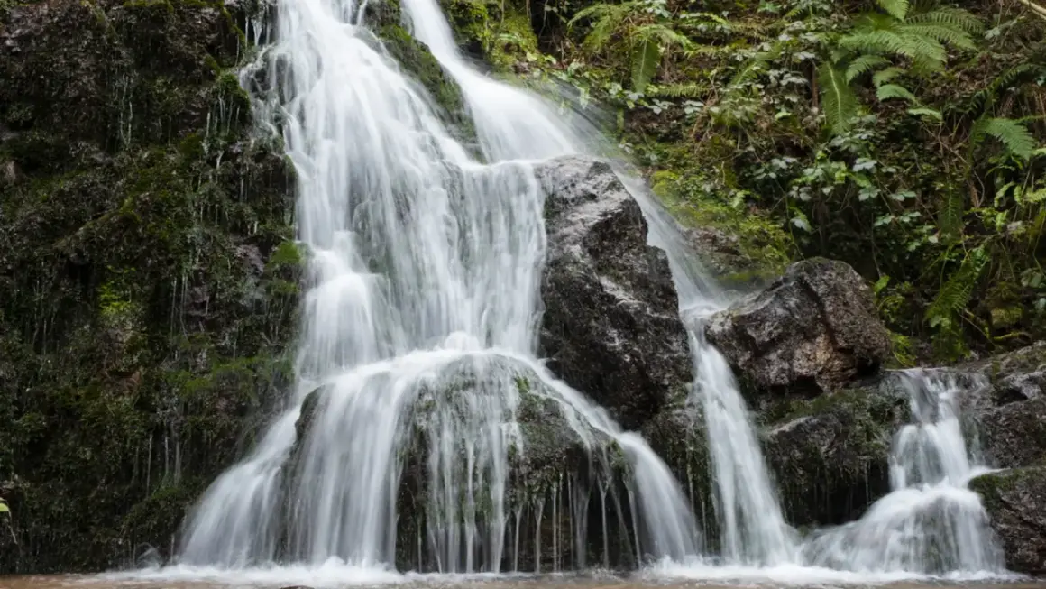 La cascada Txorrotxin desciende entre rocas cubiertas de musgo y vegetación exuberante, creando un paisaje natural sereno.