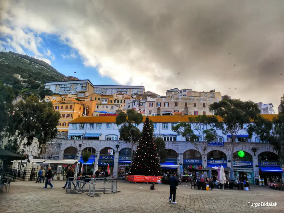 Árbol de Navidad en la plaza de Gibraltar, con edificios coloridos y el Peñón al fondo. Un día nublado, pero festivo.