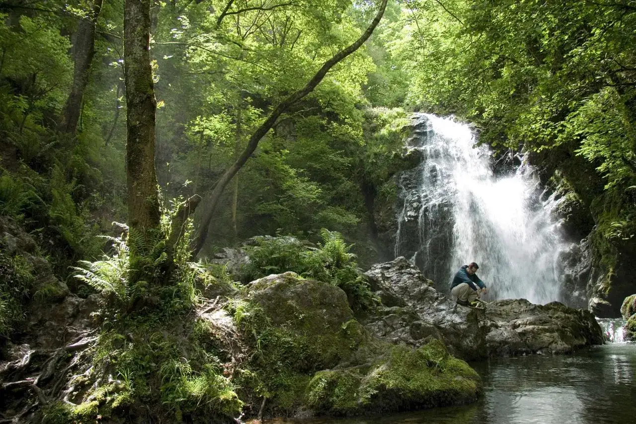 Un hombre contempla la majestuosa cascada Xorroxin, rodeada de exuberante vegetación y rocas cubiertas de musgo.