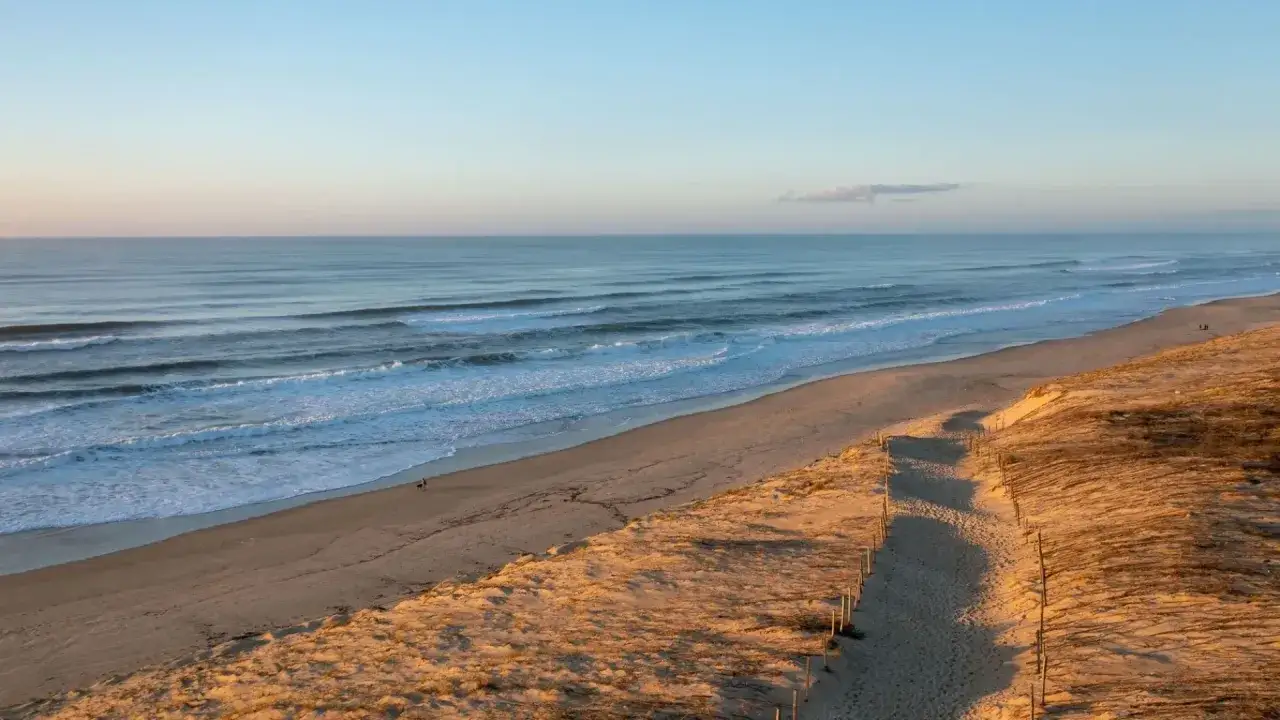 Extensa playa de arena dorada en las Landas, con olas rompiendo suavemente. Un camino bordeado de postes de madera conduce a la costa, ideal para paseos con perros.