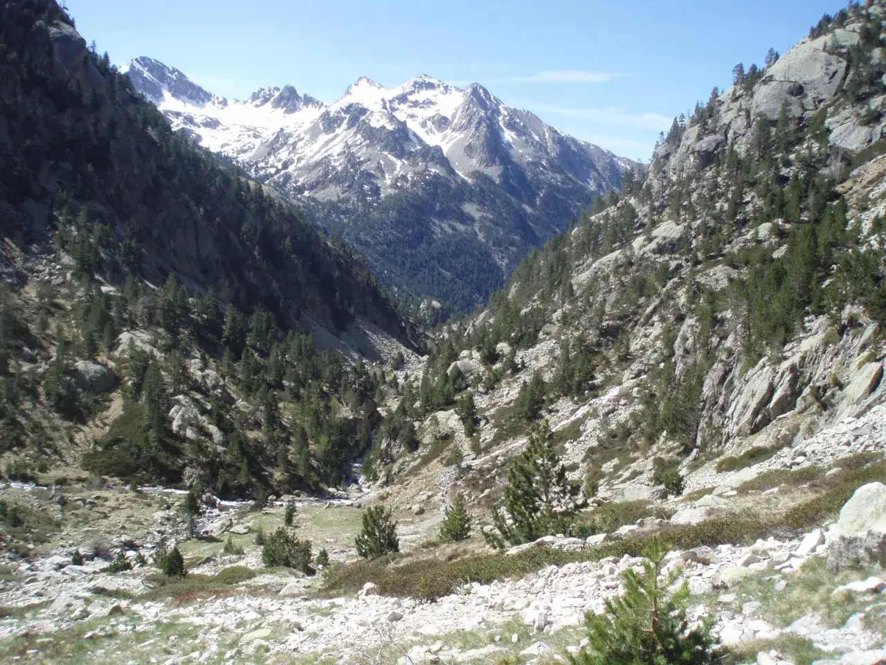 Valle rocoso con pinos y monta&ntilde;as nevadas al fondo, un paisaje t&iacute;pico del ibon de los Ba&ntilde;os de Panticosa.