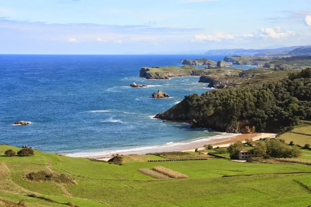 Vista panor&aacute;mica de la playa de Oyambre, con el mar azul, acantilados verdes y un campo. Quiz&aacute;s unos perros corren libres por la arena.