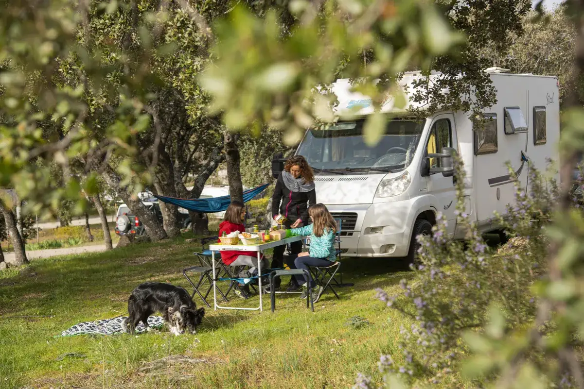 Familia disfrutando de un picnic junto a su autocaravana, buscando camping para sus vacaciones. Un perro negro olfatea la hierba.
