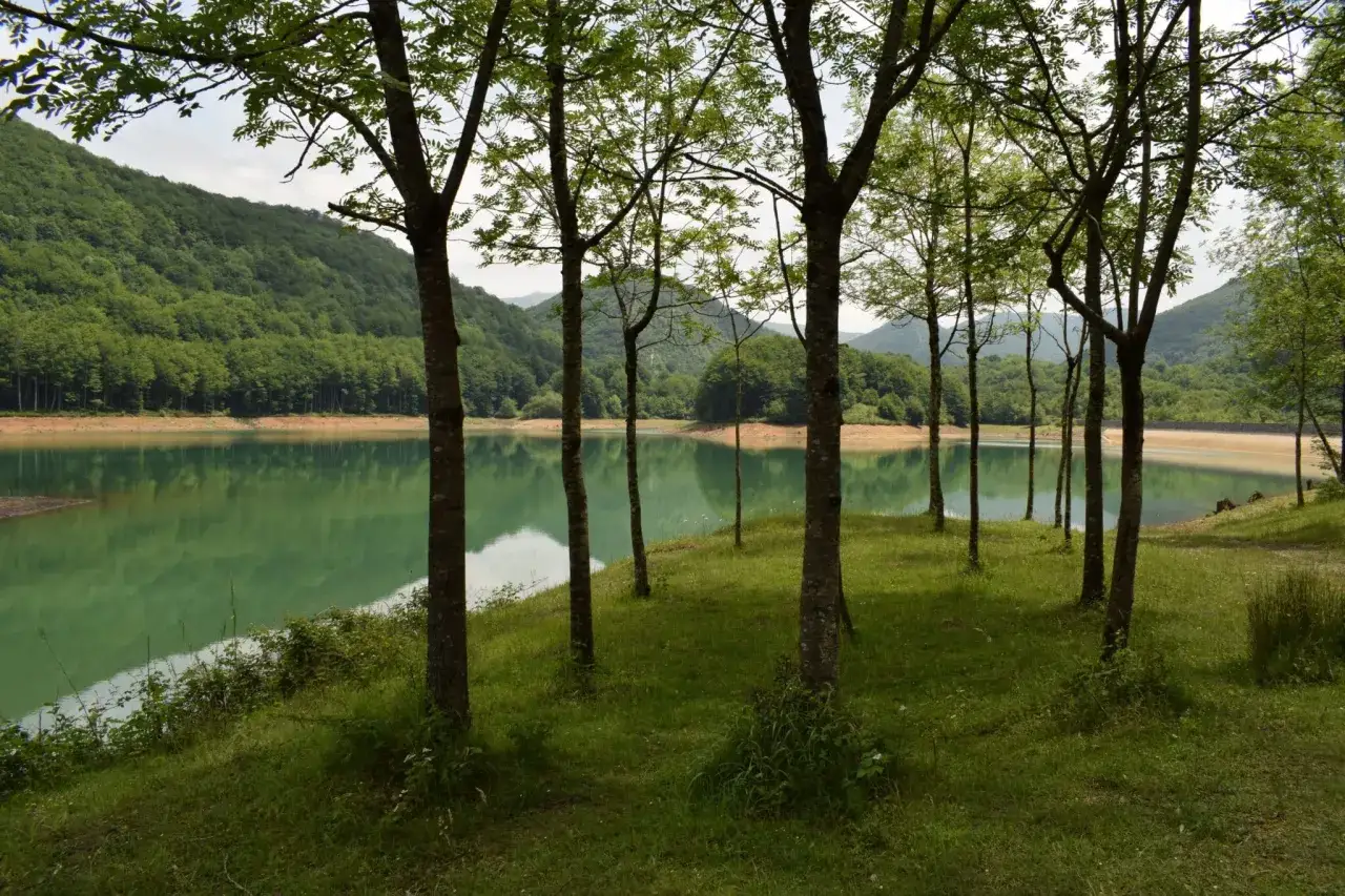&Aacute;rboles en primer plano bordean el sereno embalse de Lareo, cuyas aguas verdes reflejan las colinas boscosas.