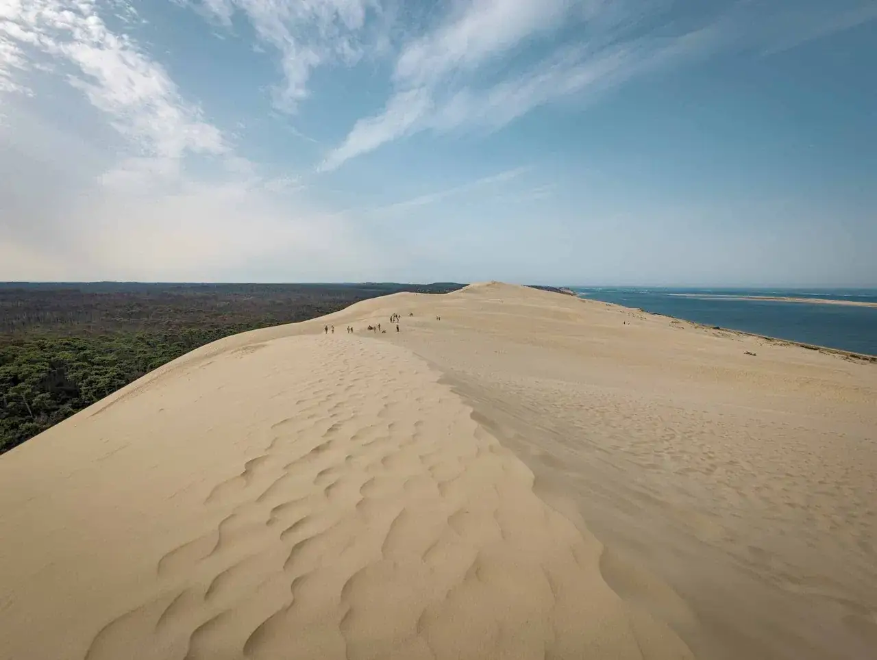 Vastas dunas de arena en la costa atl&aacute;ntica francesa, con un bosque verde a la izquierda y el oc&eacute;ano azul al fondo.