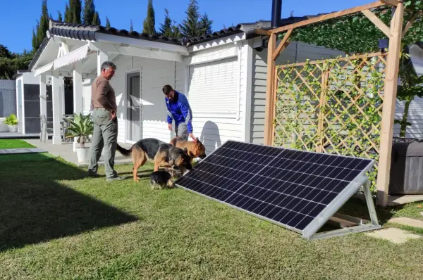 Hombres y perros observan un panel solar plug and play opiniones.