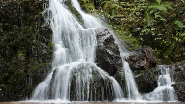 La cascada Txorrotxin desciende entre rocas cubiertas de musgo y vegetación exuberante, creando un paisaje natural sereno.